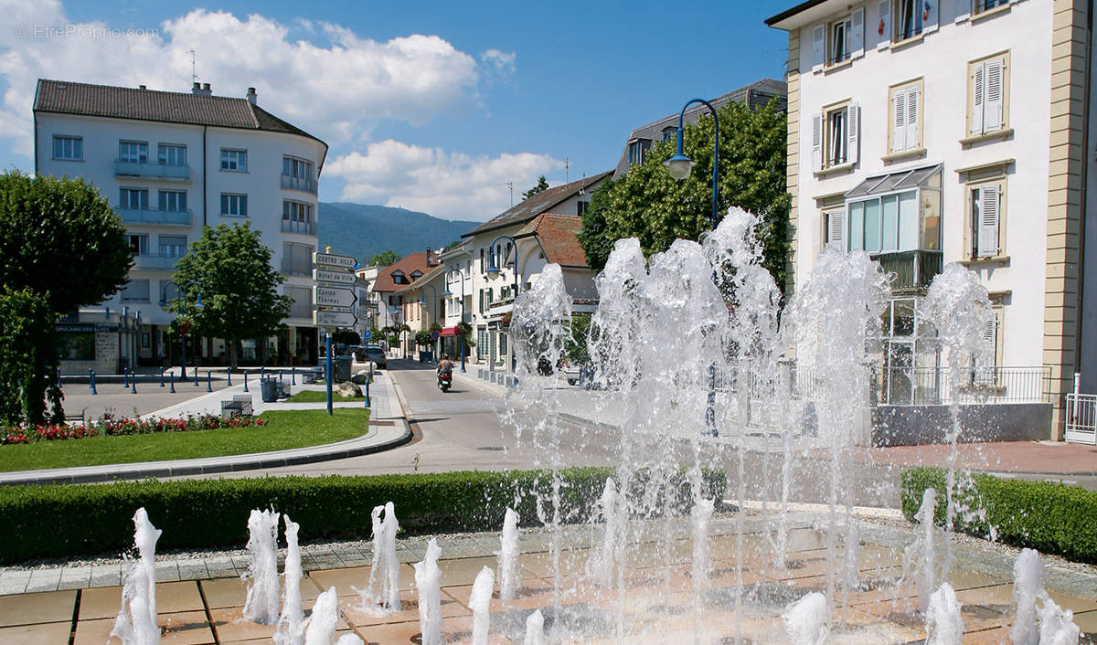 Commerce à DIVONNE-LES-BAINS