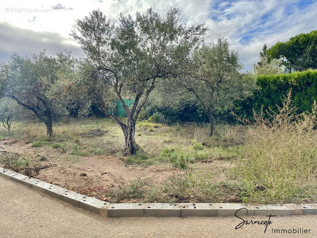 Terrain à BEAUCAIRE