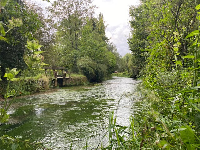 Terrain à MONTVILLE