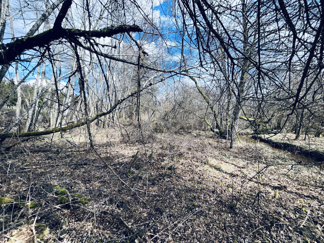 Terrain à SAINT-ANGEL