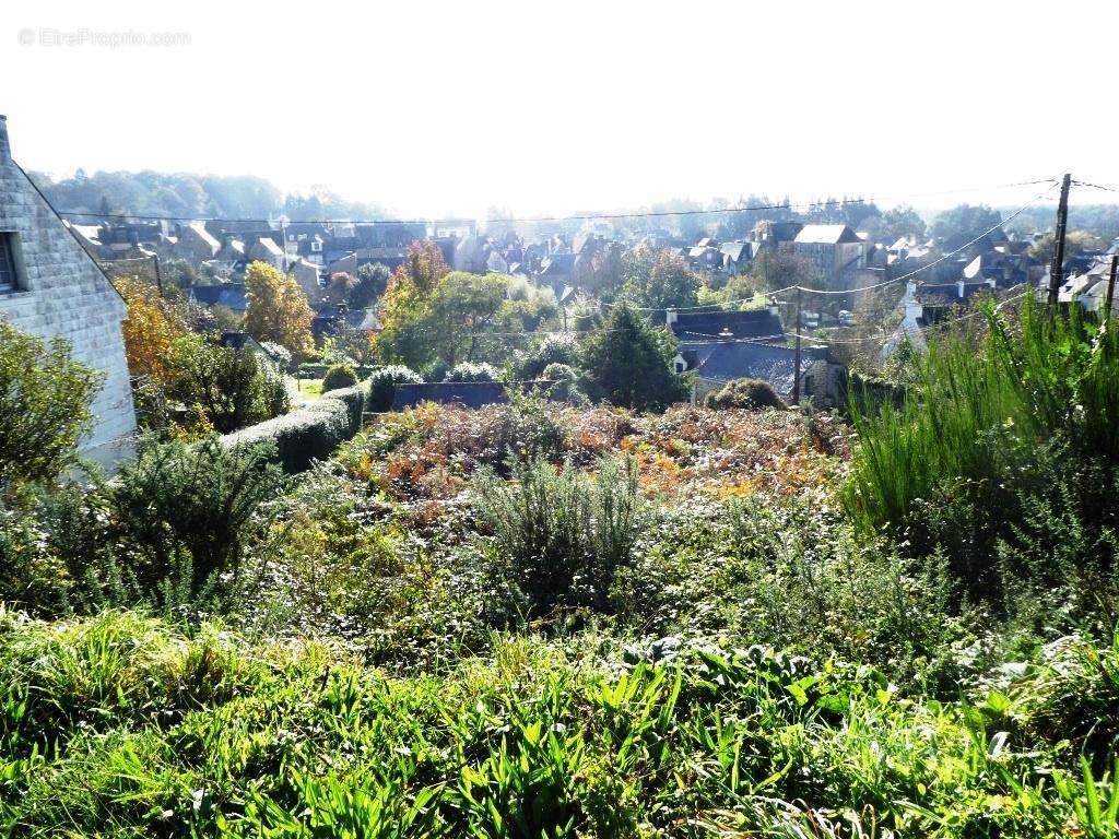 Terrain à GUEMENE-SUR-SCORFF