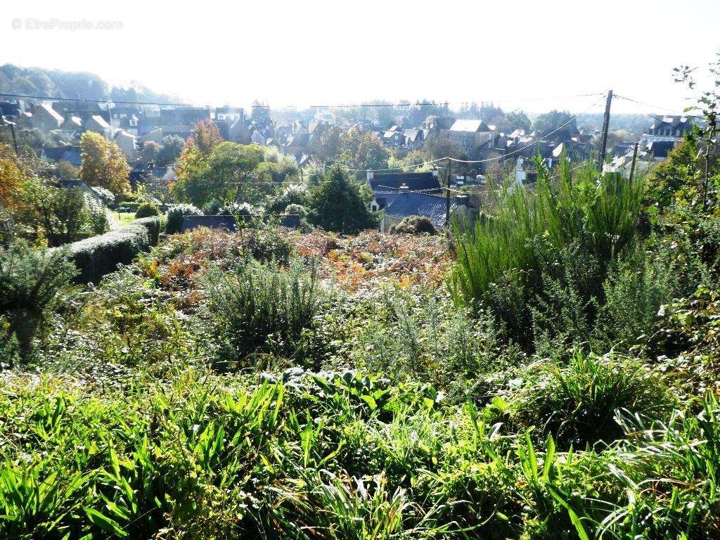 Terrain à GUEMENE-SUR-SCORFF