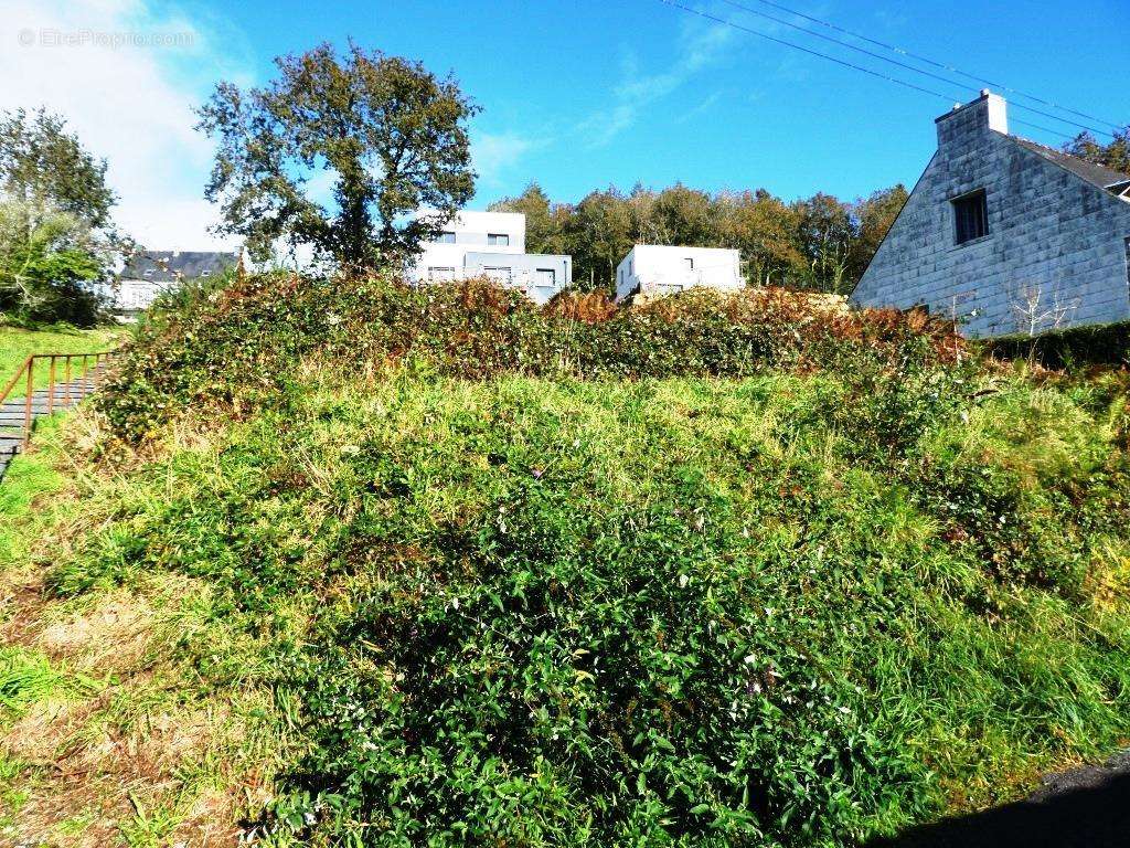 Terrain à GUEMENE-SUR-SCORFF