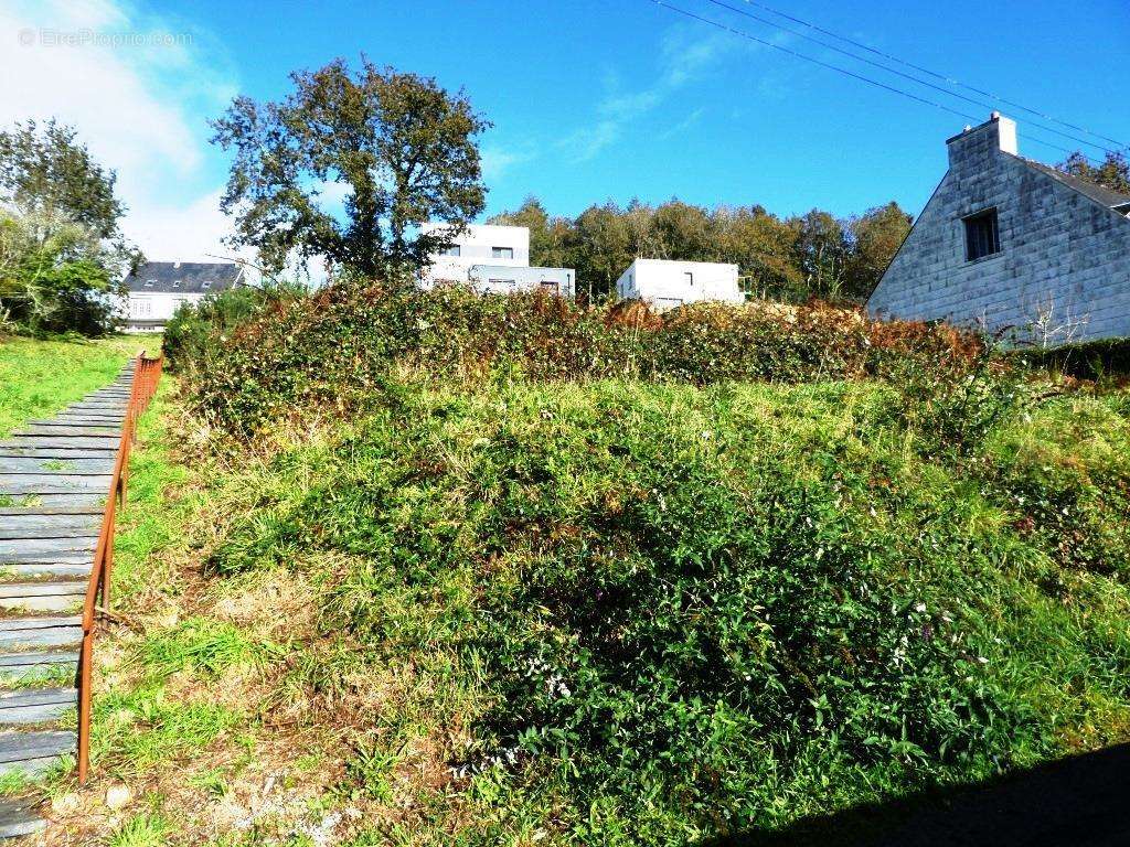 Terrain à GUEMENE-SUR-SCORFF