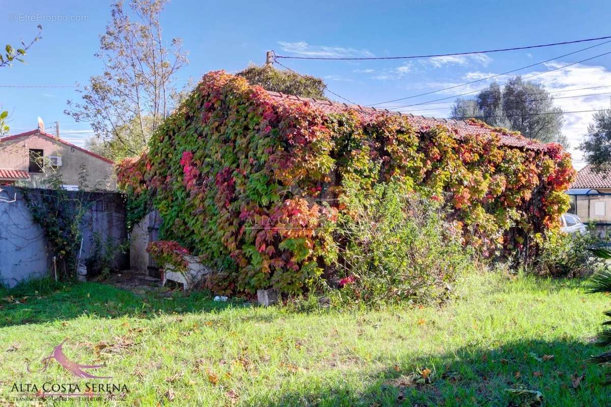 Maison à PRUNELLI-DI-FIUMORBO