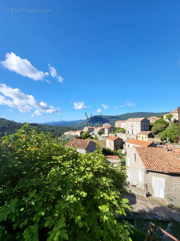 Maison à OLIVESE