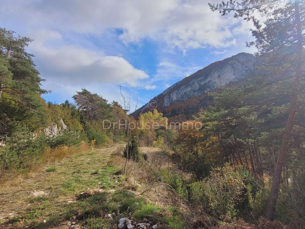 Terrain à LA CHAPELLE-EN-VERCORS