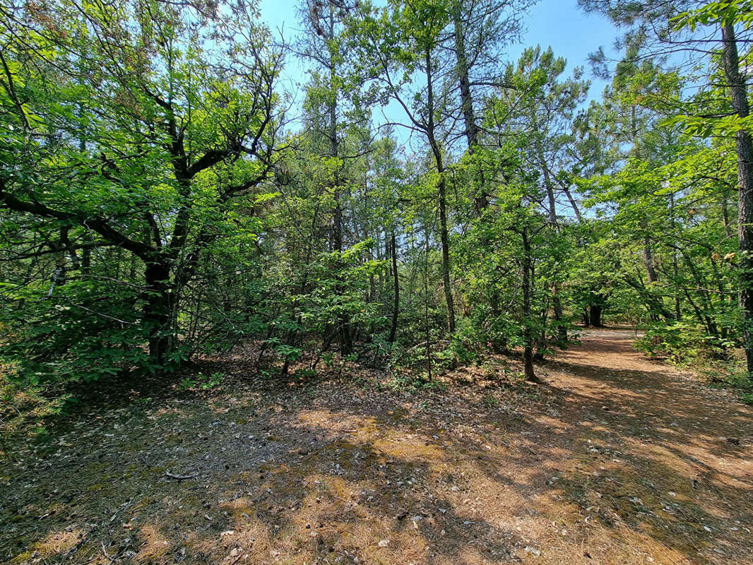 Terrain à SAINT-TRINIT