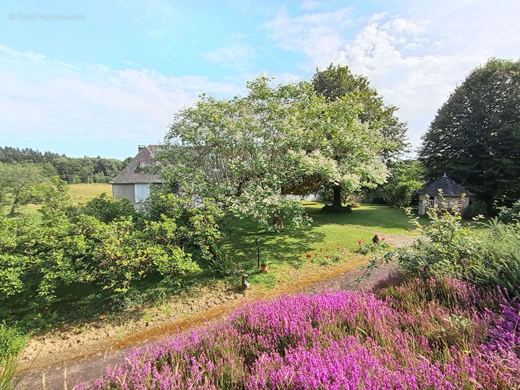 Maison à FAVARS