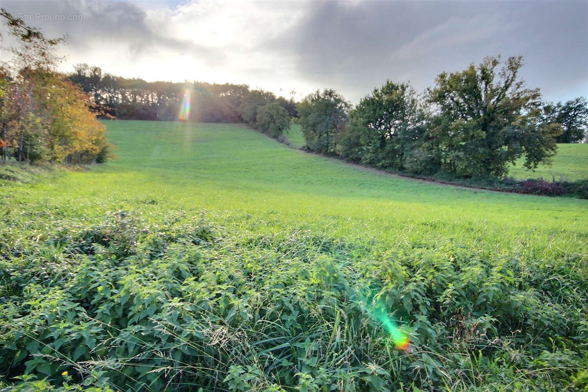 Terrain à GARLIN