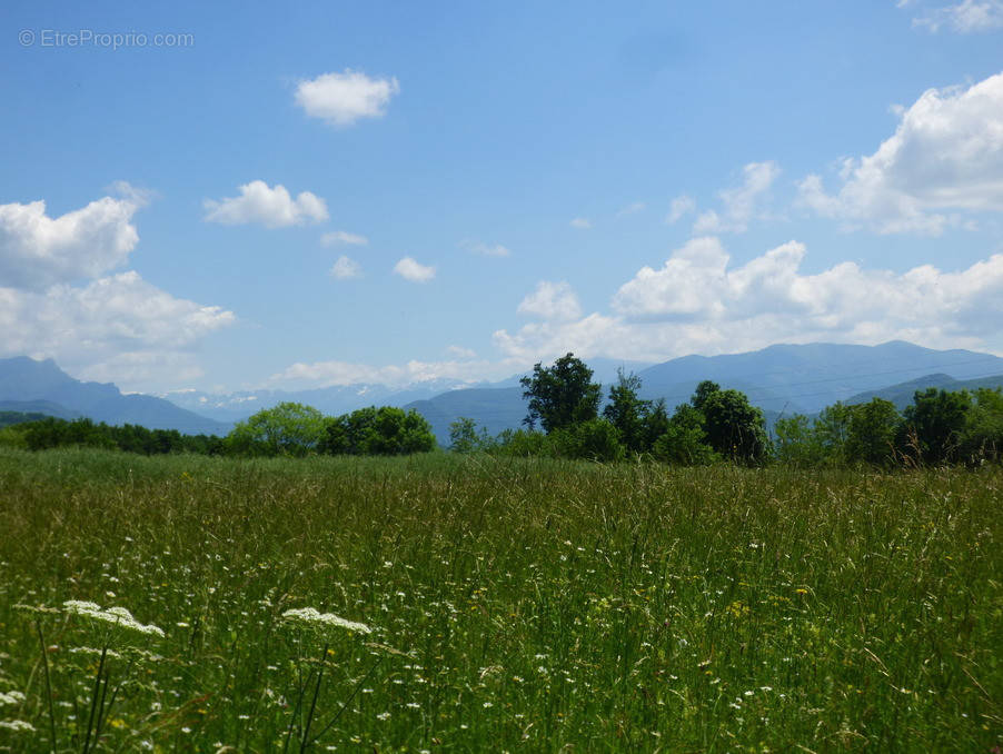 Terrain à MONTREJEAU