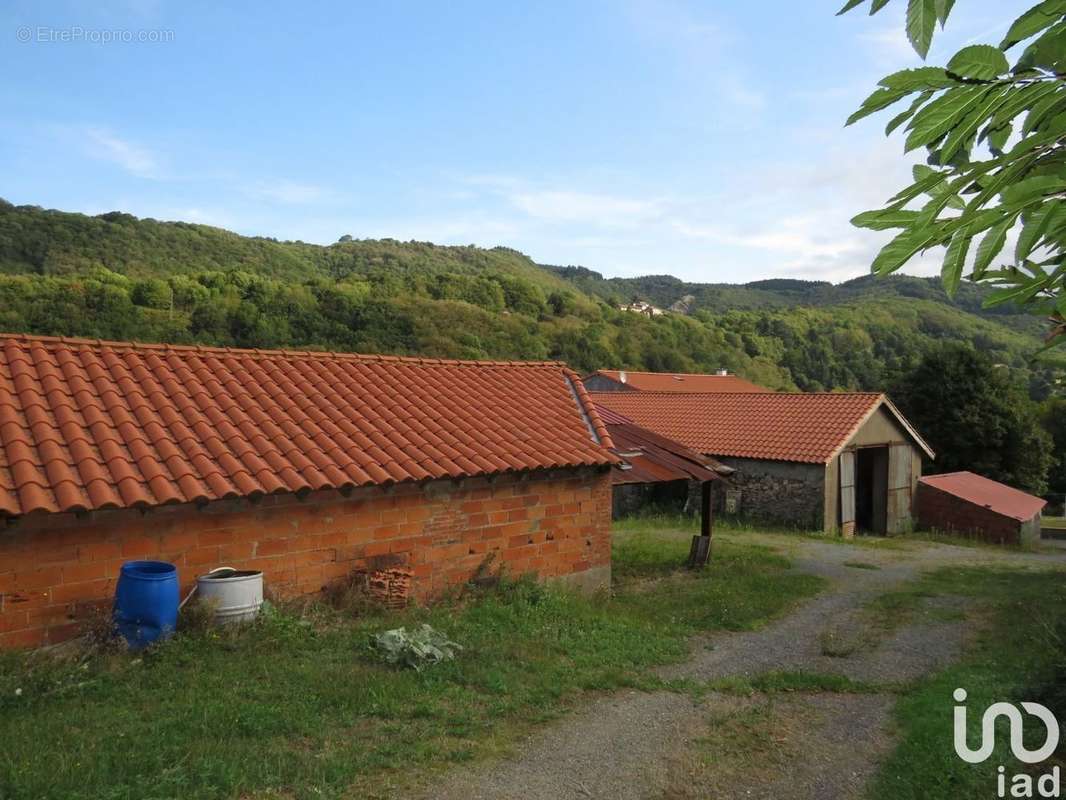 Photo 2 - Maison à LABASTIDE-ROUAIROUX