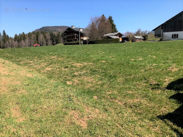 Terrain à BELLEVAUX