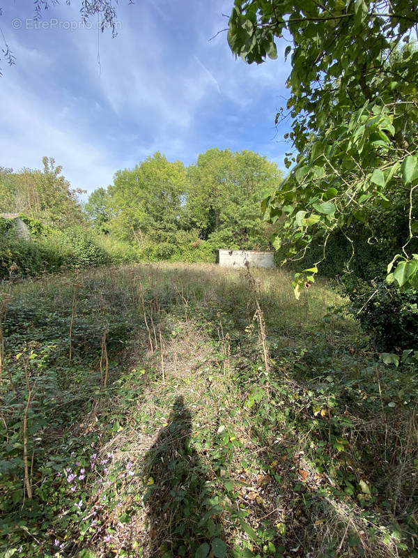 Terrain à JANVRY