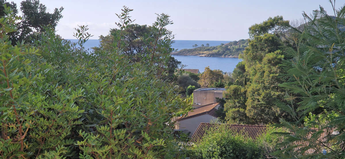 Maison à PORTO-VECCHIO