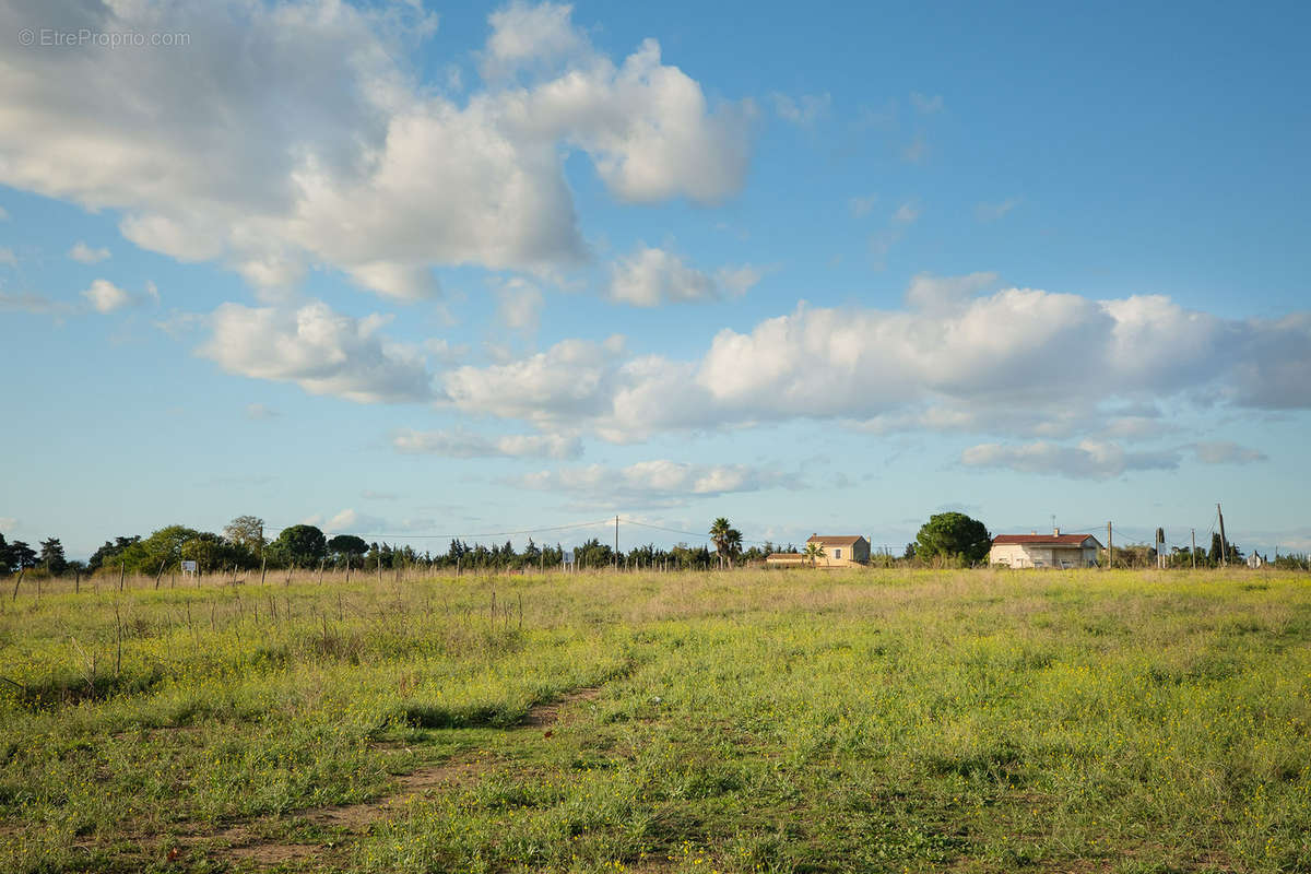 Terrain à LE CAILAR