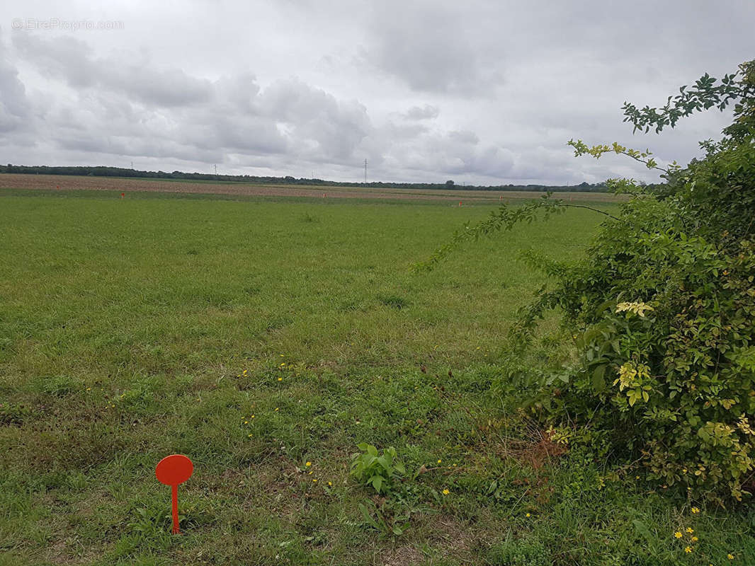 Terrain à MAUZE-SUR-LE-MIGNON