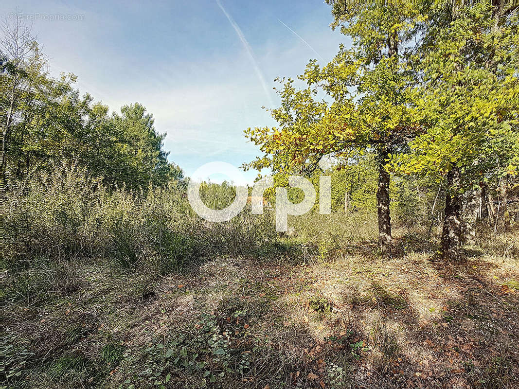 Terrain à SELLES-SUR-CHER