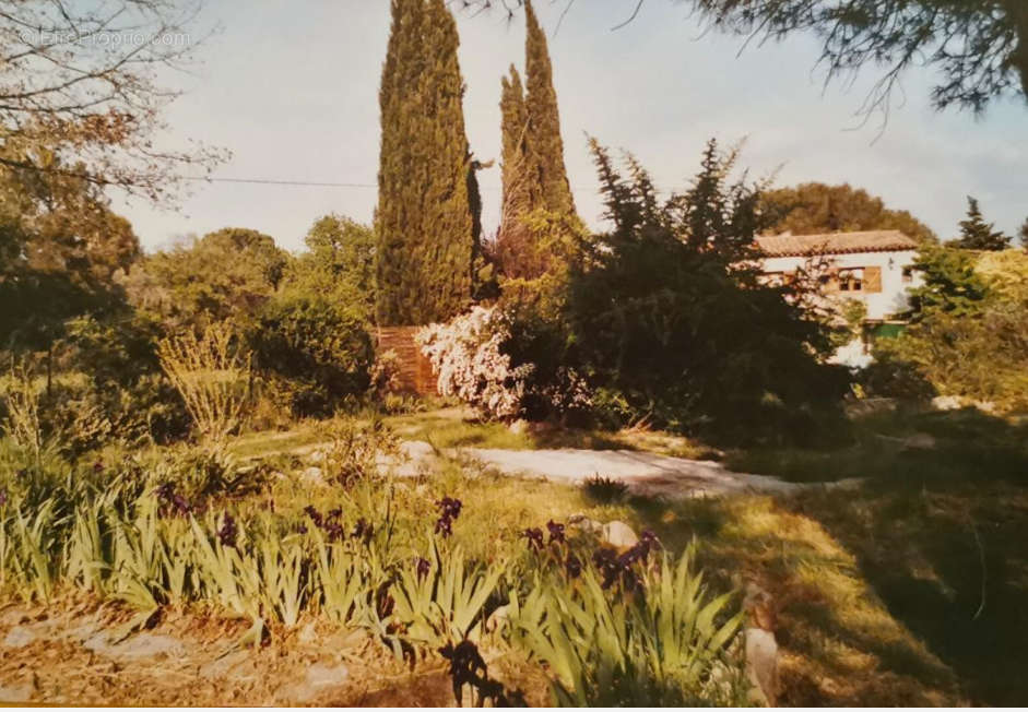 Maison à ROQUEBRUNE-SUR-ARGENS