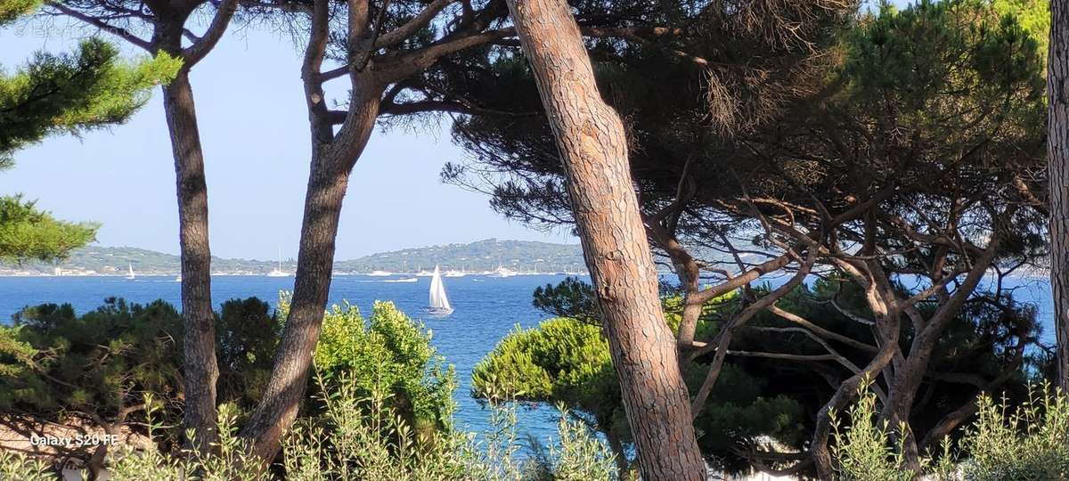 Maison à SAINTE-MAXIME