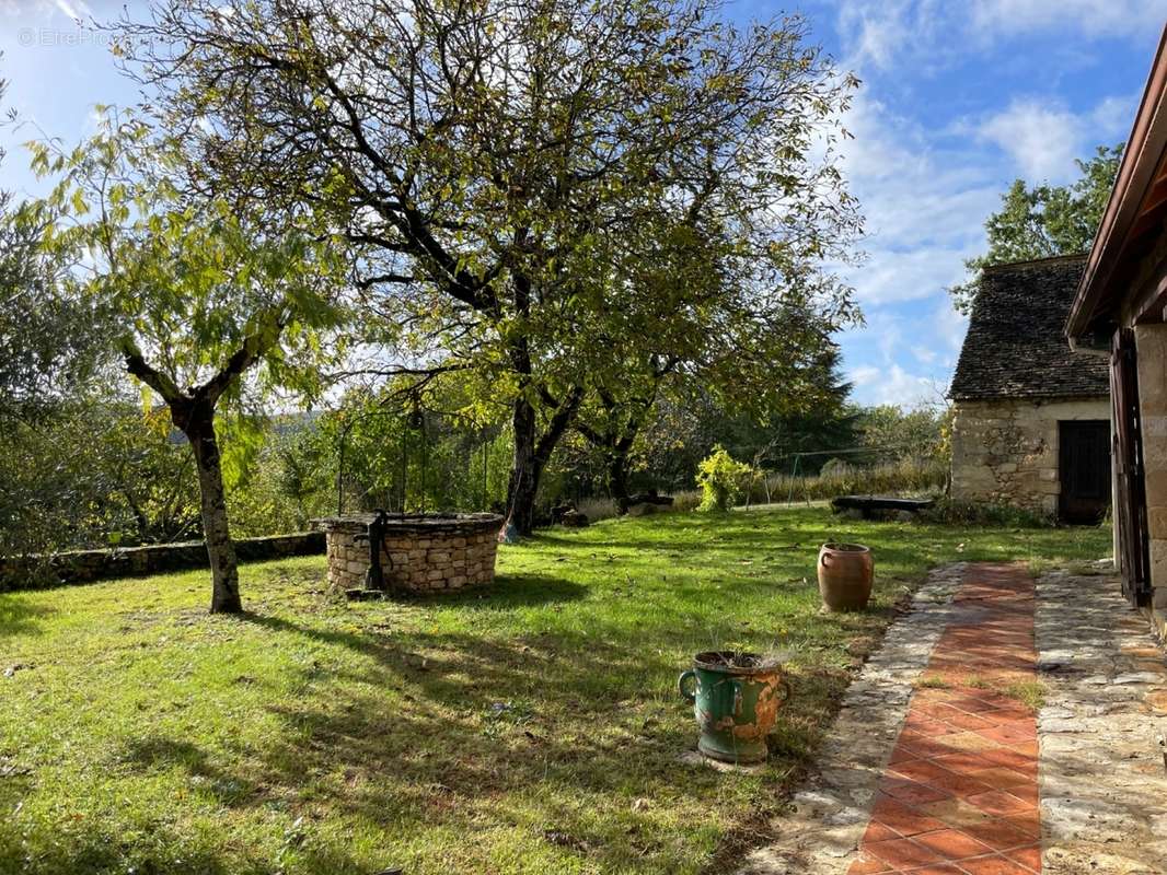 Jardin - Maison à SAINT-CYPRIEN