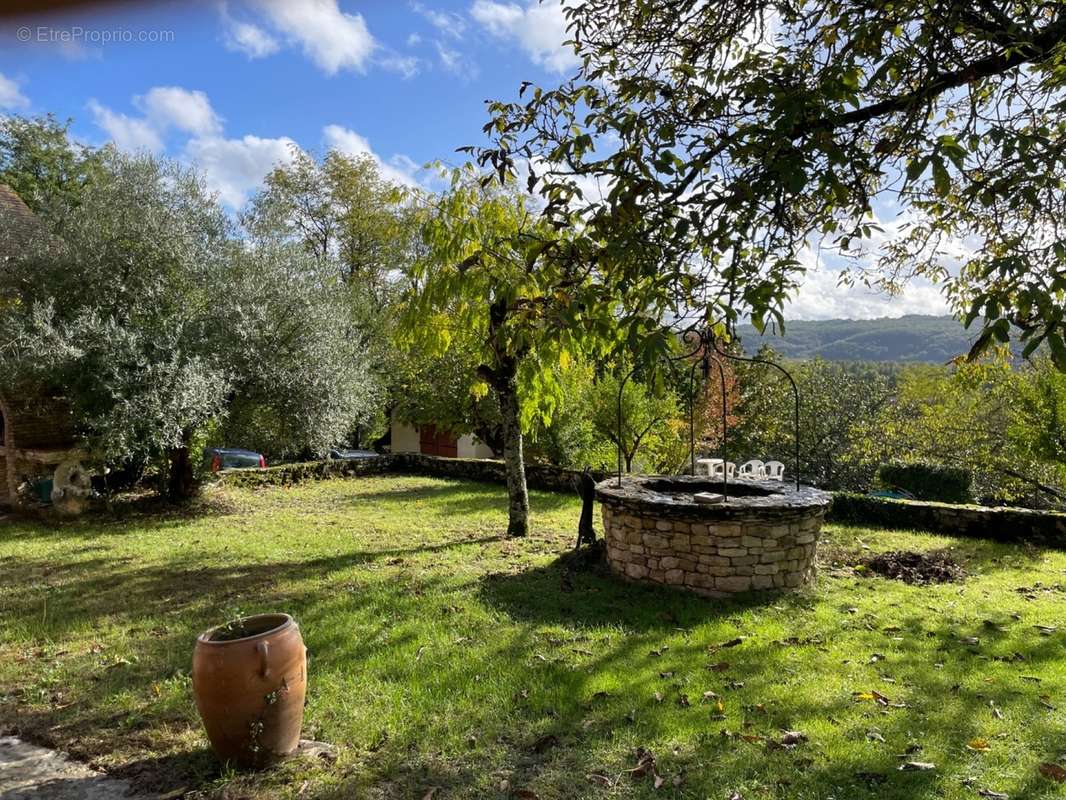 Jardin - Maison à SAINT-CYPRIEN