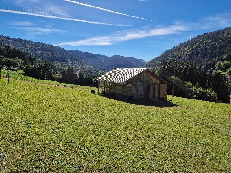 Maison à LA BRESSE