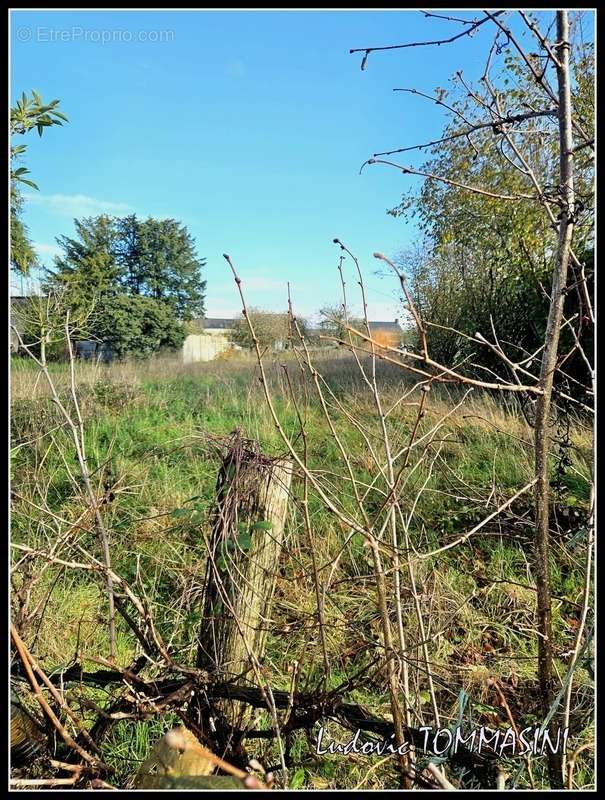 Terrain à CHATEAUBRIANT