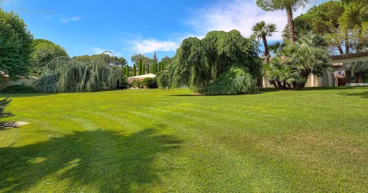 Maison à MOUGINS