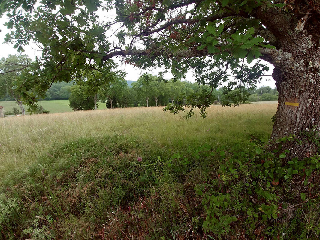 Terrain à VERFEIL