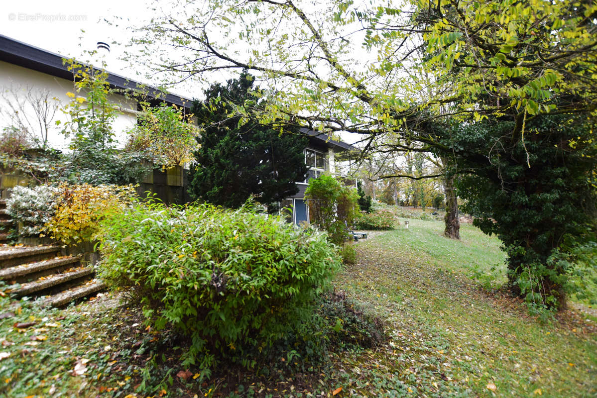 Maison à MONTBELIARD