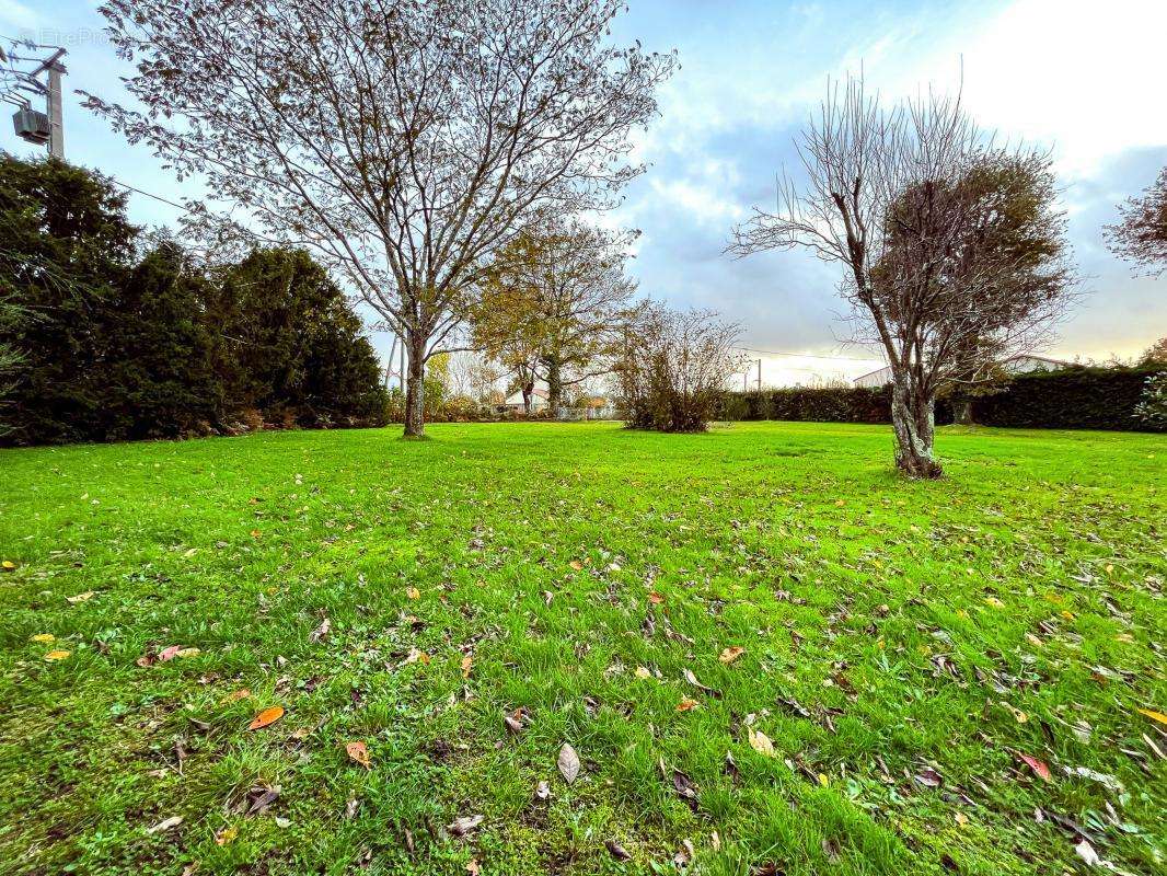 Terrain à HAUTE-GOULAINE