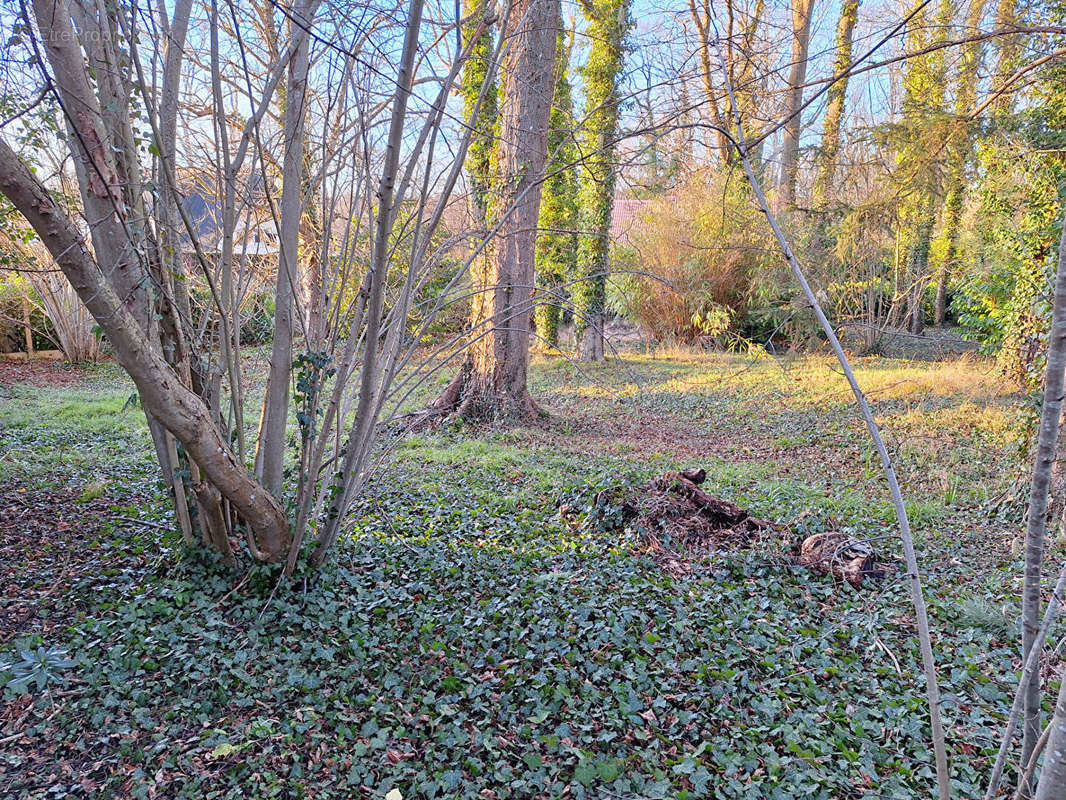 Terrain à MAULE