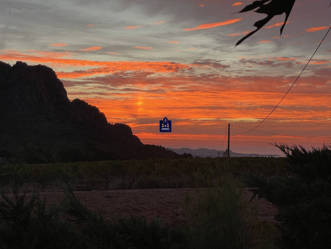 Terrain à ROQUEBRUNE-SUR-ARGENS