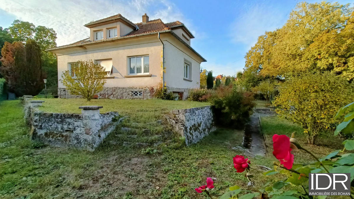 Logement 1 - Etage - chambre - Maison à PHALSBOURG