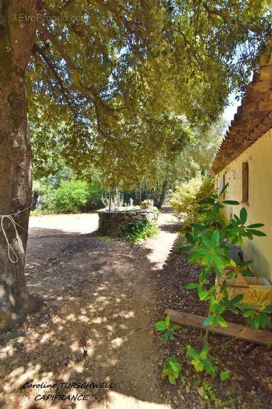 Maison à BESSE-SUR-ISSOLE