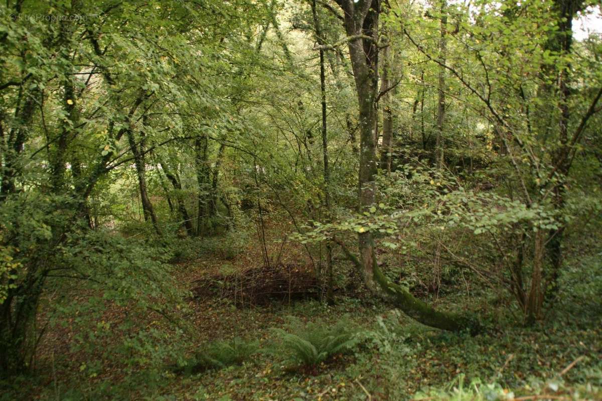 Terrain à JOSSELIN