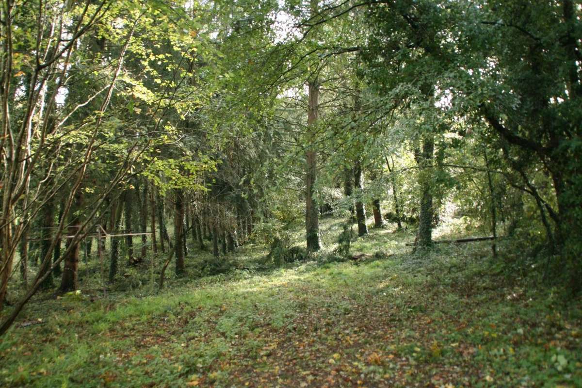 Terrain à JOSSELIN