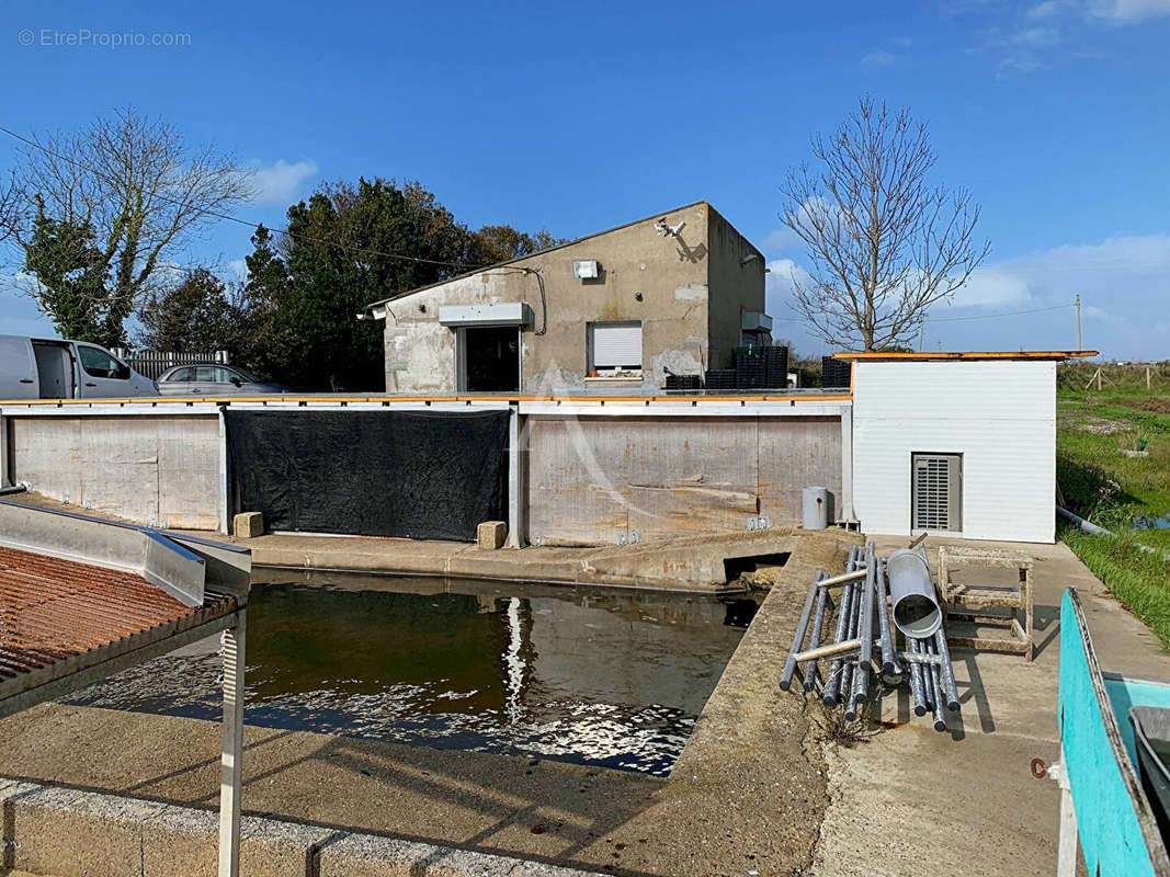 Maison à LA TREMBLADE