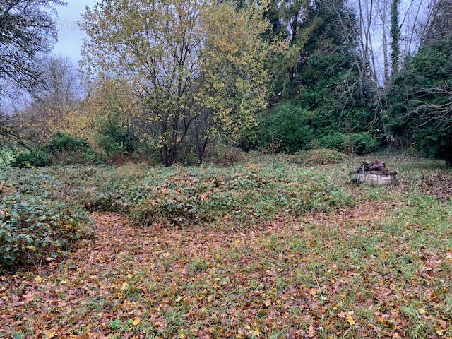 Terrain à LAON