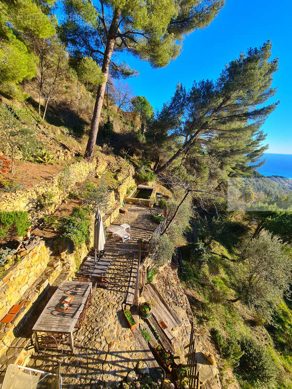 Maison à MENTON