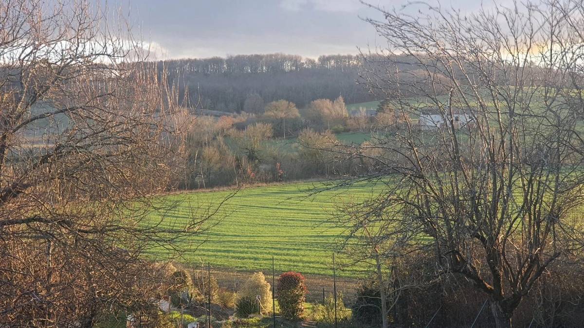 Terrain à BONREPOS-SUR-AUSSONNELLE