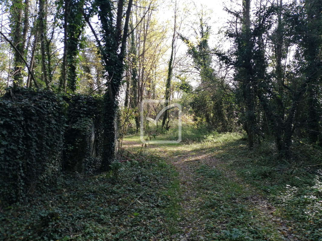 Terrain à SARLAT-LA-CANEDA