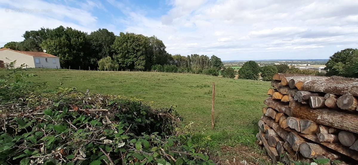 Terrain à CHANTONNAY