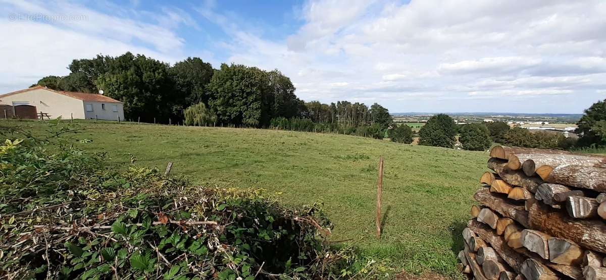 Terrain à CHANTONNAY