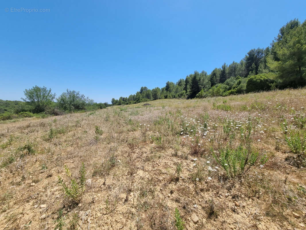 Terrain à CAUSSES-ET-VEYRAN