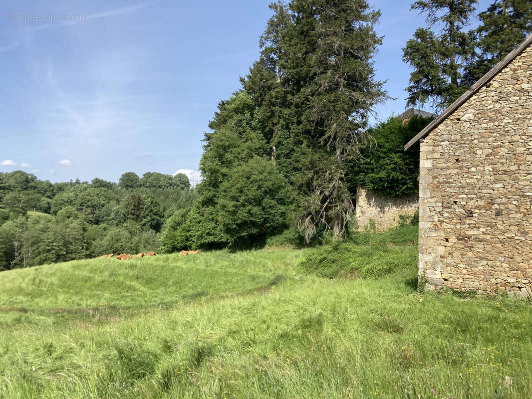 Autre à CHATEAUNEUF-LA-FORET