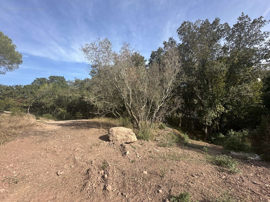 Terrain à SAINT-RAPHAEL