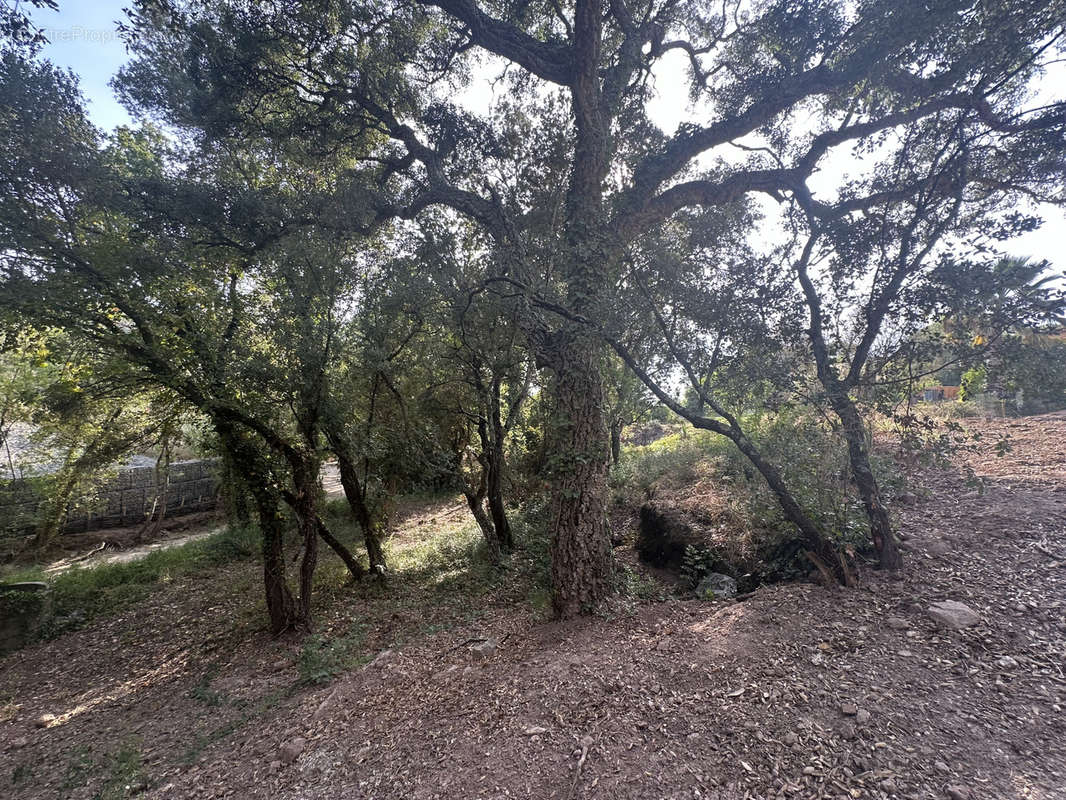 Terrain à SAINT-RAPHAEL