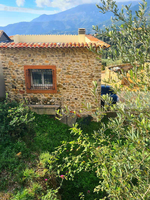 Maison à MENTON